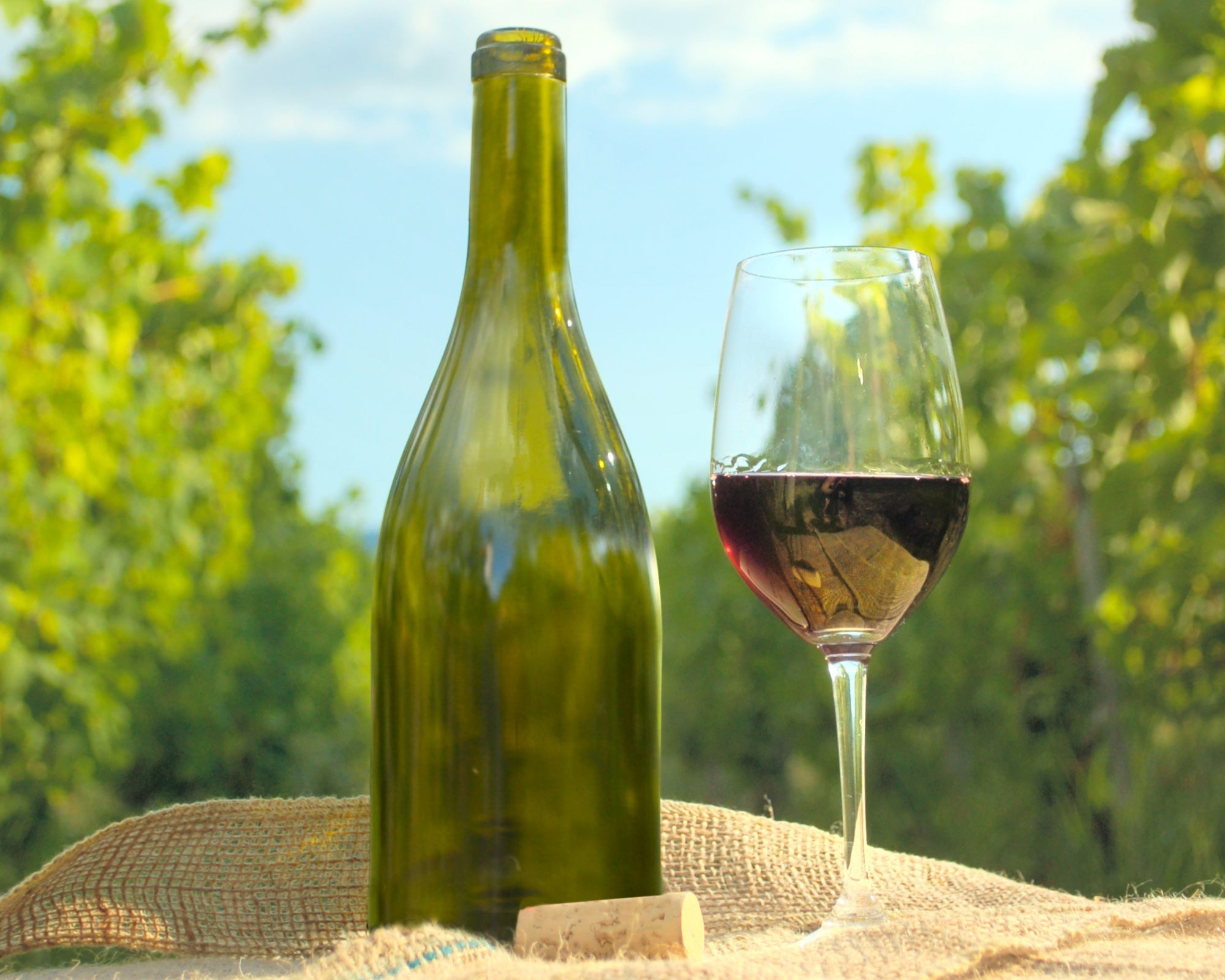 VINS