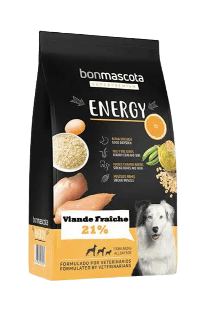 Bonmascota Energy