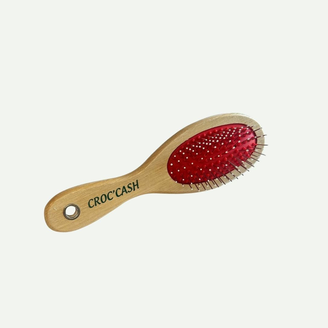 Brosse double face