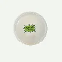 Design_sans_titre_56_5d6dc3c2-d55e-4436-b6f6-95fb2fc5e0fe (1).webp