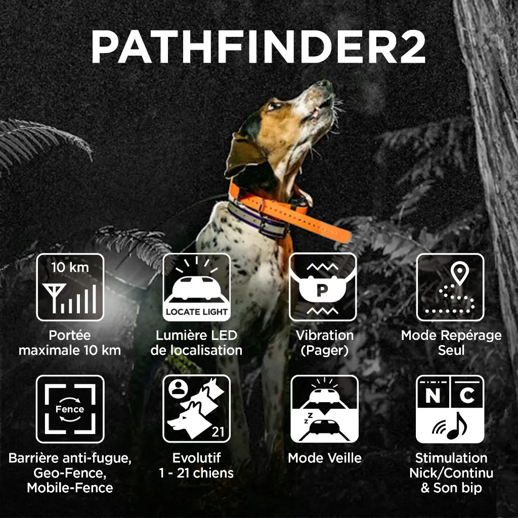 PATHFINDER2-AMAZON-Detail_Pictogram-2000X2000px_3000x.webp
