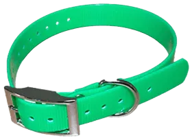 [ANCOBE] Collier BIOTHANE BÉTA (450 x 19 mm, Vert)