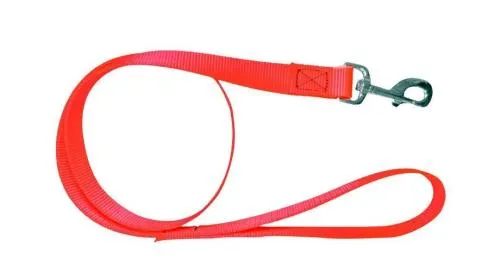 [ANLPNC] Laisse plate nylon 120cm (Orange)