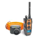 Collier de repérage sonore et de dressage DOGTRA 2600 T&B