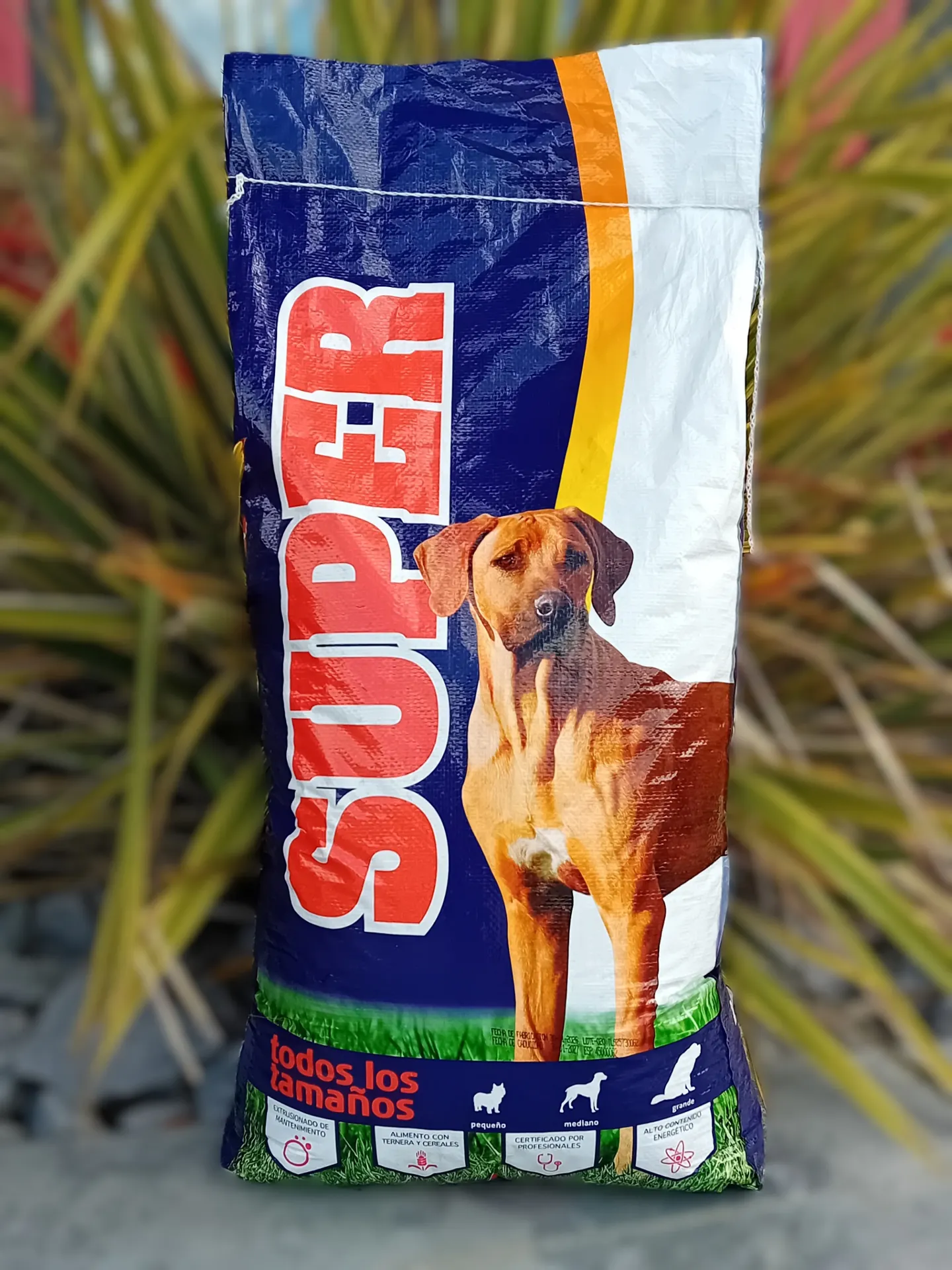PASKIDOG Super