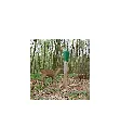 SALINE VITEX - carton de 4 salines